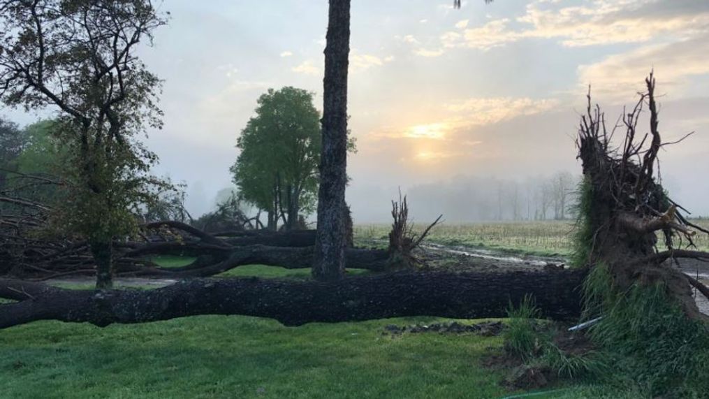 The National Weather Service surveyed the damage Friday and confirmed a microburst took place. (WCHS/WVAH)