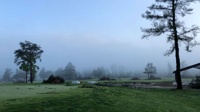 Trees uproot and branches scatter at Big Bend Golf Course. (WCHS/WVAH)