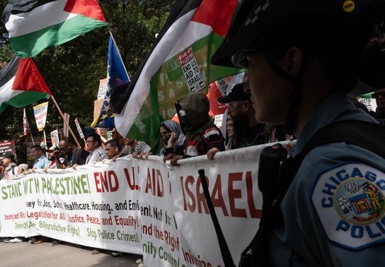 Image for story: Who is marching outside the DNC? A look at the coalition behind the protests