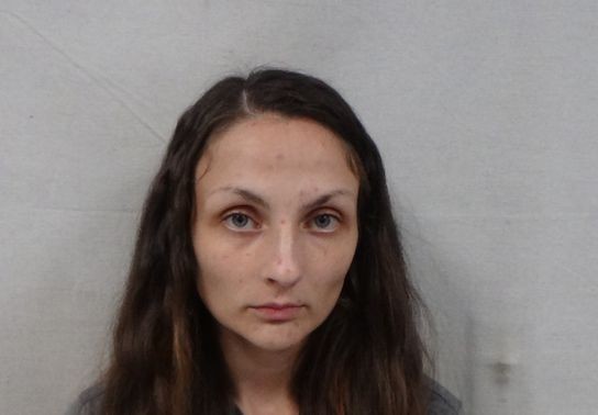 Image for story: West Virginia woman charged after four children found alone in vehicle, court records say