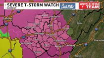 Image for story: Severe thunderstorm watch in effect into Sunday evening