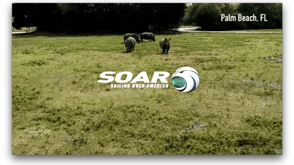 Drones: Animals (Image: Sinclair Broadcast Group)