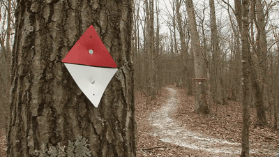 Image for story: Wild Appalachia: Hiking trails being made in Hurricane